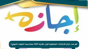 كم عدد أيام الإجازات المتبقية قبل نهاية 2025 بمناسبة المولد النبوي؟